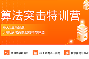 拉勾-算法突击特训营完结