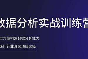 拉勾数据分析训练营7期