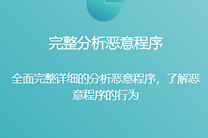 恶意代码分析实战，价值千元