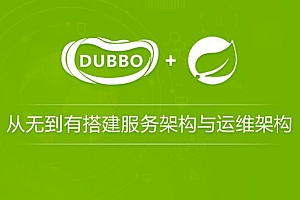 龙果学院:从无到有搭建中小型互联网公司后台服务架构与运维架构,108讲完整下载 价值899元