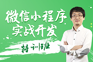 万门大学:微信小程序实战开发特训班,王立主讲12章视频 价值798元