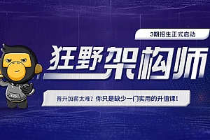 黑马博学谷狂野架构师2022|更新中