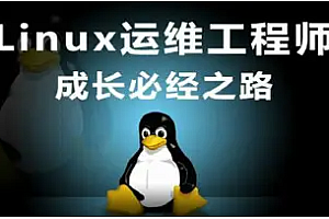 Linux运维云计算|完结高清
