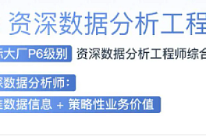 奈学教育|P6数据分析保薪班一期|完结高清