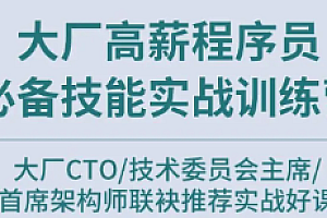 大厂高薪必备技能训练营二期|完结高清
