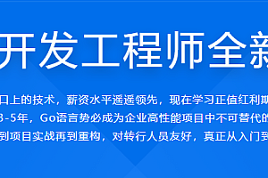 MK Go开发工程师全新版本|完结高清|独家精品