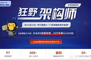 黑马狂野架构师3期【完结版】