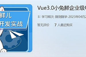 Vue3.0-小兔鲜儿前端企业级电商项目实战  价值599元