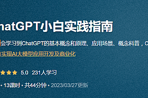 ChatGPT小白实践 指南