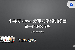 小马哥 Java 训练营 第一期 Java 分布式架构 - 服务治理，价值2999