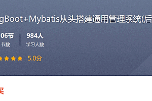 SpringBoot+Mybatis 从头搭建通用管理系统(后端篇) 视频+课件(30G) 价值89