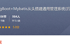 SpringBoot＋Mybatis 从头搭建通用管理系统(后端篇) 视频＋课件(30G) 价值89