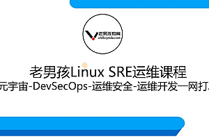 老男孩: Linux王牌自动化班89期, SRE运维视频课程