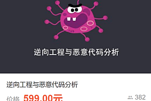 逆向工程与恶意代码分析吗,视频+课件,价值599