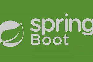 知识星球,Java达摩院(redis+新版 Spring Boot),视频教程