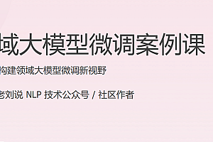 极K-领域大模型微调案例课