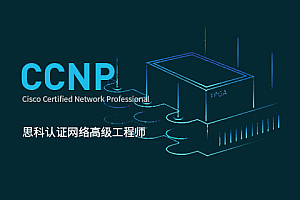 【新盟教育康sir】CCNP进阶实战课
