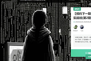 野菩萨x飞扬 AIGC全能实战班(第2期)