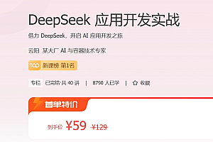DeepSeek应用开发实战,音频+PDF 免费下载  价值59