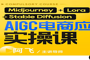 阿飞AIGC电商应用实操课2025
