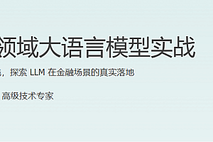 金融领域大模型实战
